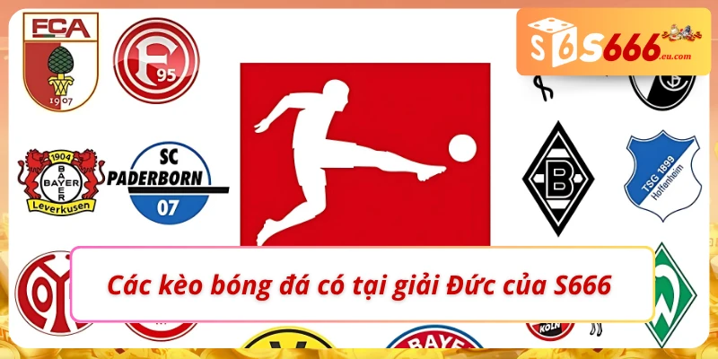 Soi Kèo Bóng Đá Đức Và Các Kèo Cược Có Tại Nhà Cái S666 3 04 kèo kèo bóng đá Đức hấp dẫn tại nhà cái