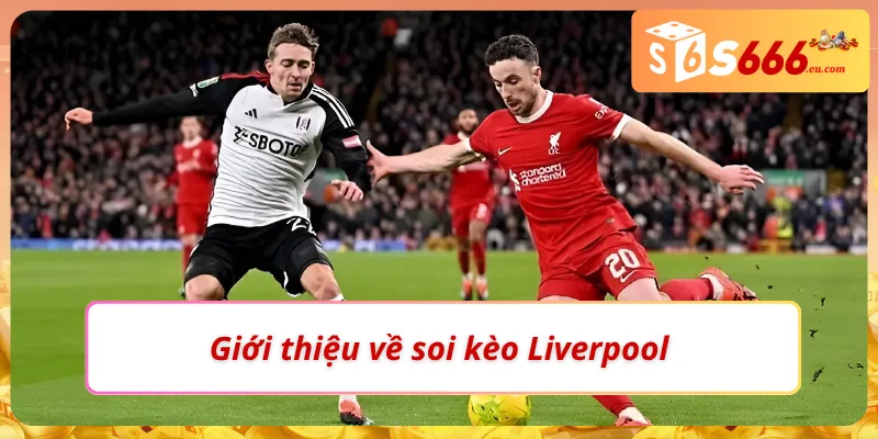Soi Kèo Liverpool – Tìm Kiếm Kèo Thơm Tiềm Năng Cùng S666 2 Thử thách đầy kích thích cùng soi kèo Liverpool