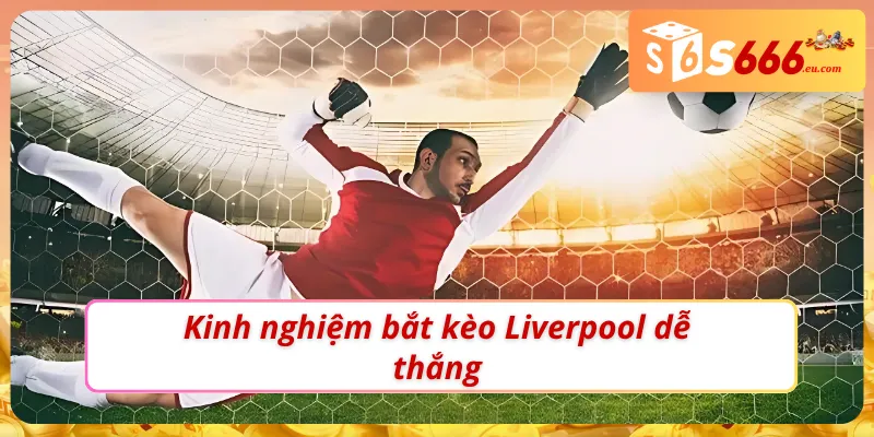 Soi Kèo Liverpool – Tìm Kiếm Kèo Thơm Tiềm Năng Cùng S666 4 Soi kèo Liverpool chuẩn để chọn và vào kèo hiệu quả