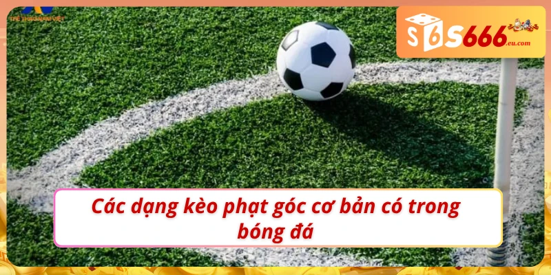 Soi Kèo Phạt Góc Bí Quyết Bắt Kèo Chuẩn Xác Tại S666 4 03 dạng kèo phạt góc cơ bản tại S666